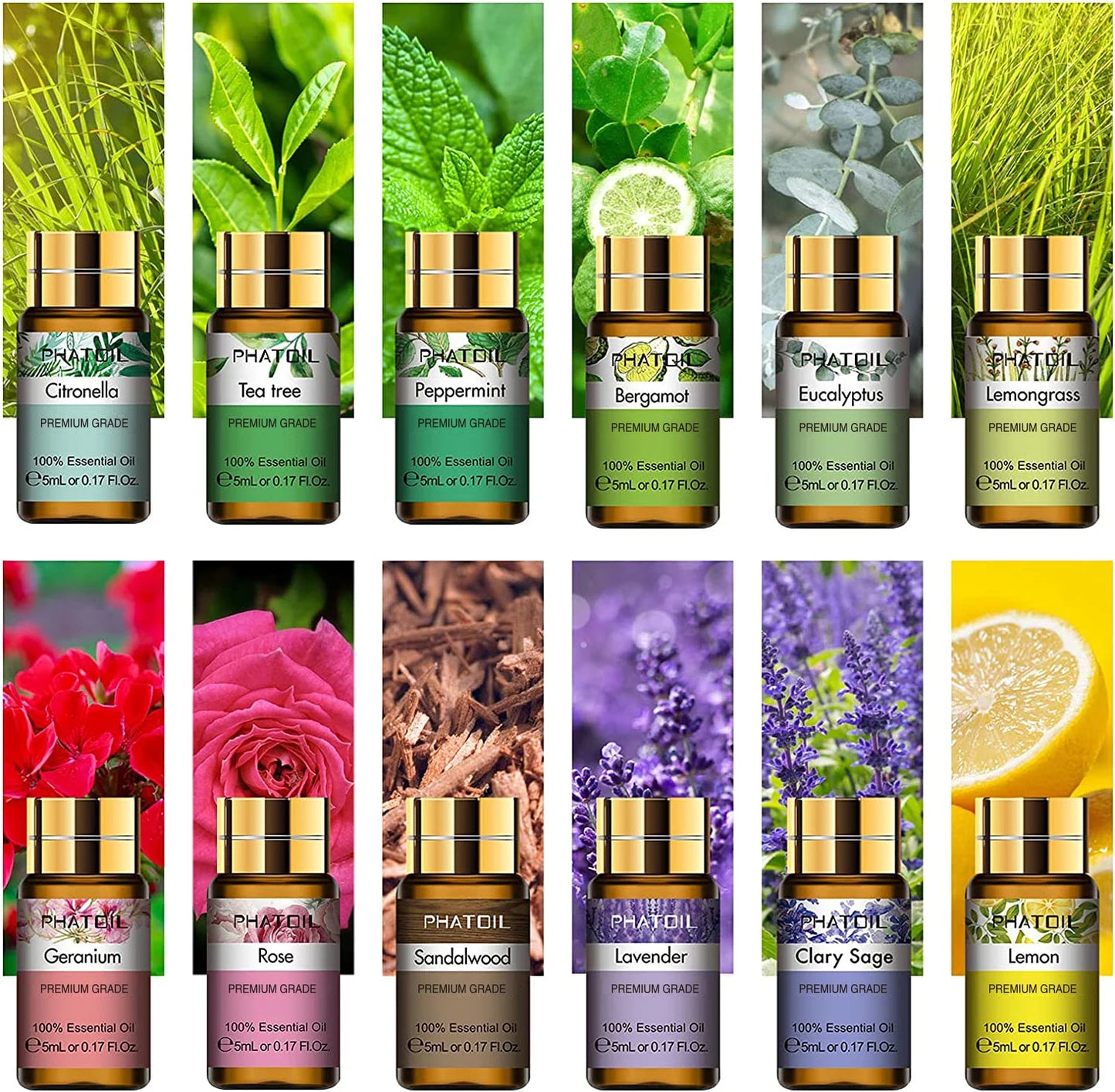 12-piece essential oil gift set with pure plant extracts for diffusers, massage, and aromatherapy.