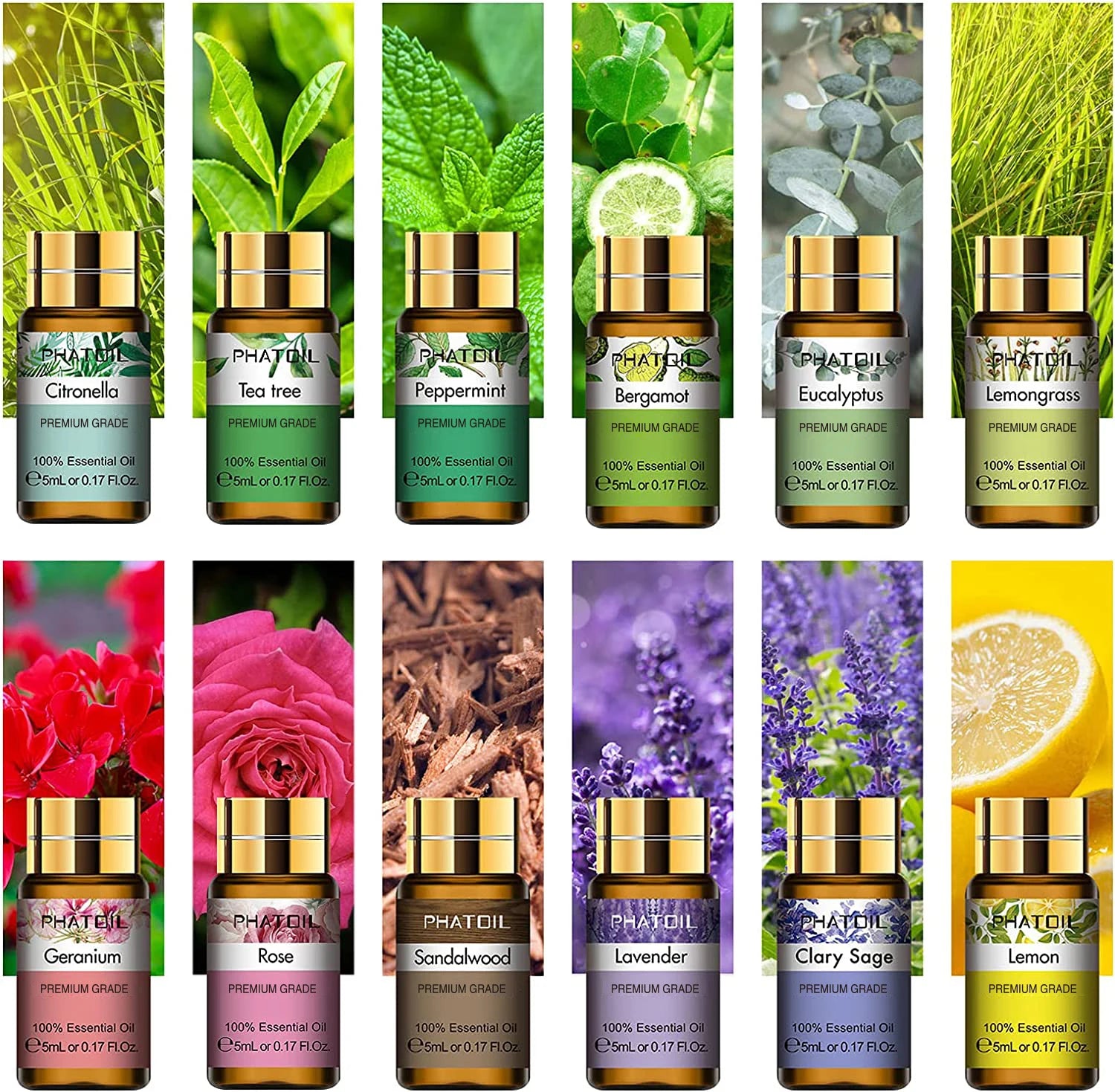 12-piece essential oil gift set with pure plant extracts for diffusers, massage, and aromatherapy.